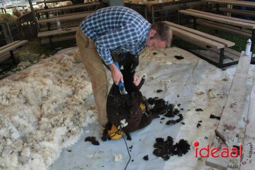 Beleef de boerderij bij Feltsigt in Bekveld - deel 2 (30-07-2023)