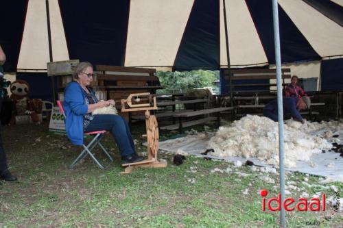 Beleef de boerderij bij Feltsigt in Bekveld - deel 2 (30-07-2023)