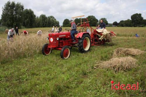 Beleef de boerderij bij Feltsigt in Bekveld - deel 2 (30-07-2023)