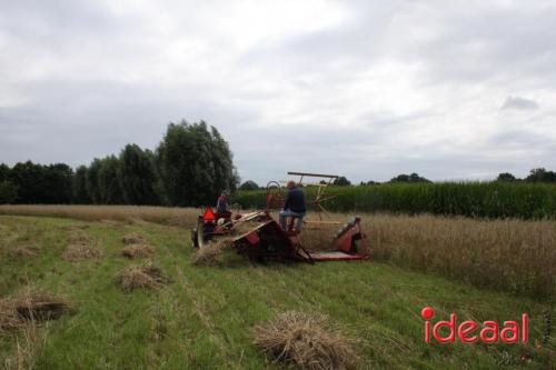 Beleef de boerderij bij Feltsigt in Bekveld - deel 2 (30-07-2023)