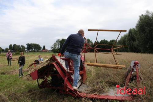 Beleef de boerderij bij Feltsigt in Bekveld - deel 2 (30-07-2023)