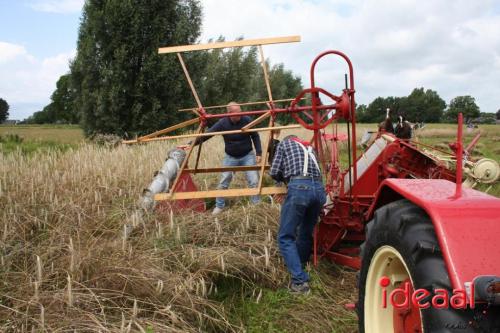 Beleef de boerderij bij Feltsigt in Bekveld - deel 2 (30-07-2023)