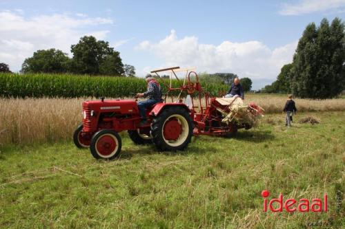 Beleef de boerderij bij Feltsigt in Bekveld - deel 2 (30-07-2023)