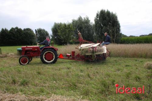 Beleef de boerderij bij Feltsigt in Bekveld - deel 2 (30-07-2023)