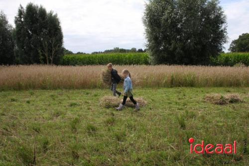 Beleef de boerderij bij Feltsigt in Bekveld - deel 2 (30-07-2023)