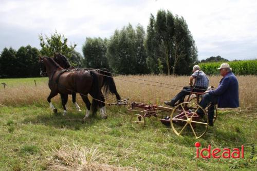 Beleef de boerderij bij Feltsigt in Bekveld - deel 2 (30-07-2023)