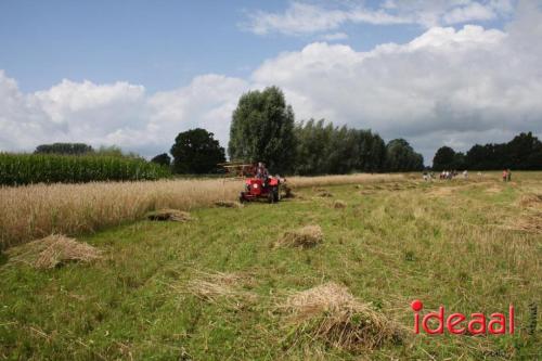 Beleef de boerderij bij Feltsigt in Bekveld - deel 2 (30-07-2023)