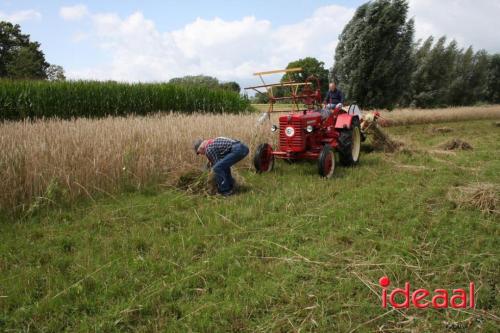 Beleef de boerderij bij Feltsigt in Bekveld - deel 2 (30-07-2023)