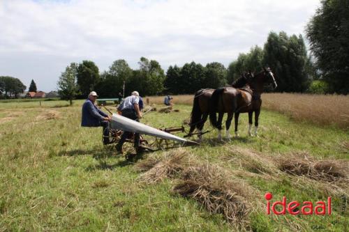 Beleef de boerderij bij Feltsigt in Bekveld - deel 2 (30-07-2023)