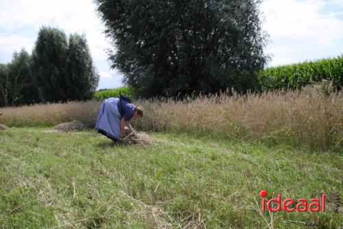 Beleef de boerderij bij Feltsigt in Bekveld - deel 2 (30-07-2023)