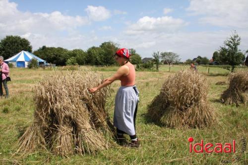 Beleef de boerderij bij Feltsigt in Bekveld - deel 2 (30-07-2023)