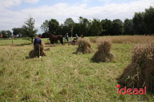 Beleef de boerderij bij Feltsigt in Bekveld - deel 2 (30-07-2023)