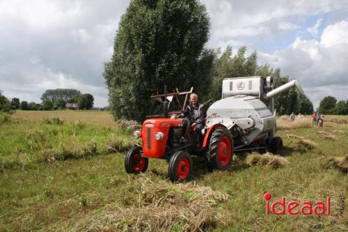 Beleef de boerderij bij Feltsigt in Bekveld - deel 2 (30-07-2023)