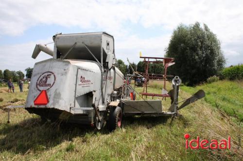 Beleef de boerderij bij Feltsigt in Bekveld - deel 2 (30-07-2023)