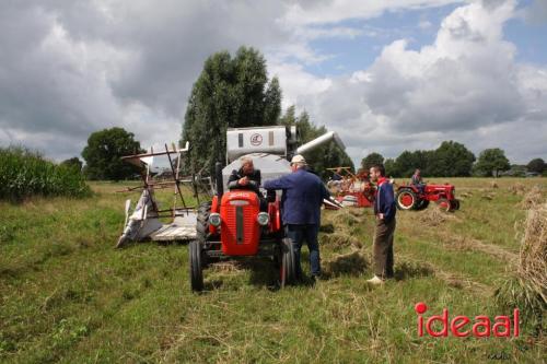 Beleef de boerderij bij Feltsigt in Bekveld - deel 2 (30-07-2023)