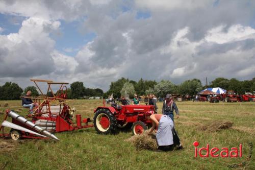 Beleef de boerderij bij Feltsigt in Bekveld - deel 2 (30-07-2023)