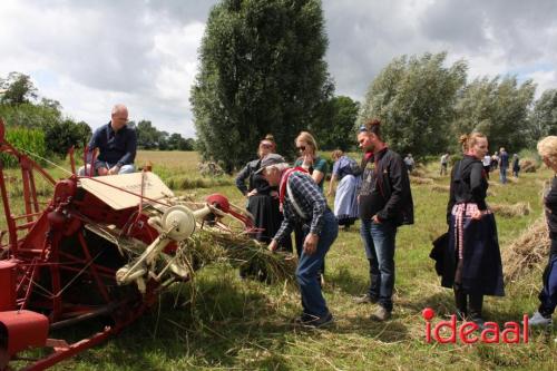 Beleef de boerderij bij Feltsigt in Bekveld - deel 2 (30-07-2023)