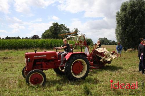 Beleef de boerderij bij Feltsigt in Bekveld - deel 2 (30-07-2023)