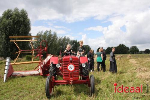 Beleef de boerderij bij Feltsigt in Bekveld - deel 2 (30-07-2023)