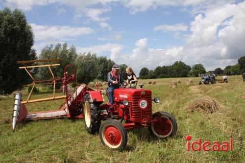 Beleef de boerderij bij Feltsigt in Bekveld - deel 2 (30-07-2023)