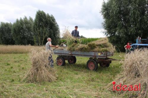 Beleef de boerderij bij Feltsigt in Bekveld - deel 2 (30-07-2023)