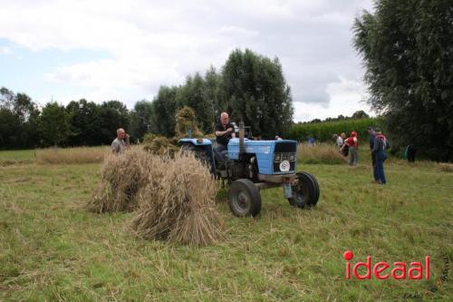 Beleef de boerderij bij Feltsigt in Bekveld - deel 2 (30-07-2023)