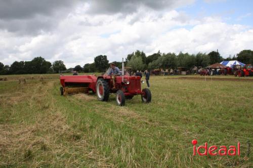 Beleef de boerderij bij Feltsigt in Bekveld - deel 2 (30-07-2023)