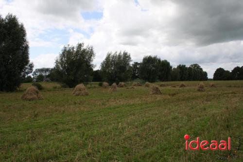 Beleef de boerderij bij Feltsigt in Bekveld - deel 2 (30-07-2023)