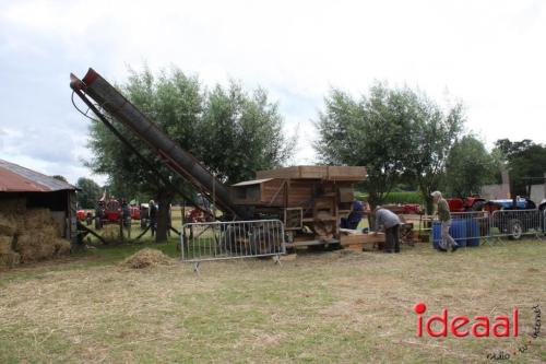 Beleef de boerderij bij Feltsigt in Bekveld - deel 2 (30-07-2023)