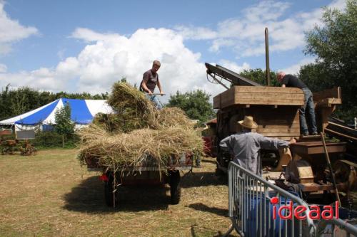 Beleef de boerderij bij Feltsigt in Bekveld - deel 2 (30-07-2023)