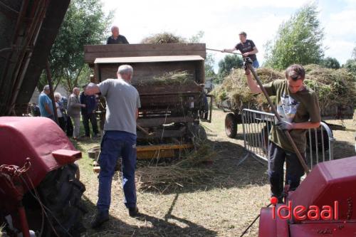 Beleef de boerderij bij Feltsigt in Bekveld - deel 2 (30-07-2023)