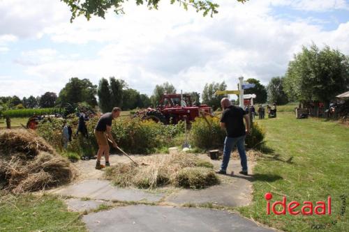 Beleef de boerderij bij Feltsigt in Bekveld - deel 2 (30-07-2023)