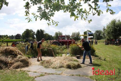 Beleef de boerderij bij Feltsigt in Bekveld - deel 2 (30-07-2023)