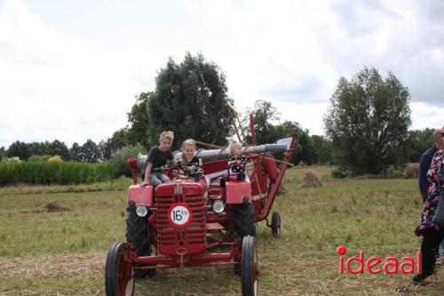 Beleef de boerderij bij Feltsigt in Bekveld - deel 2 (30-07-2023)