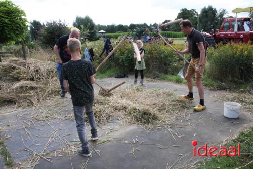 Beleef de boerderij bij Feltsigt in Bekveld - deel 2 (30-07-2023)