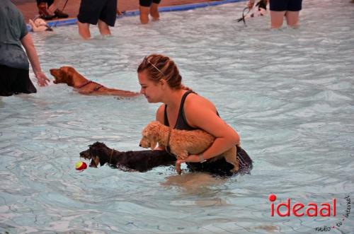 Honden zwemmen in Vorden (17-09-2023)