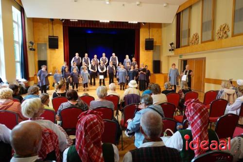 Folkloristische dansgroep De Iesselschotsers naar Estland