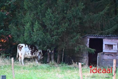 Openluchtspel in Hummelo - deel 4 (17-08-2024)