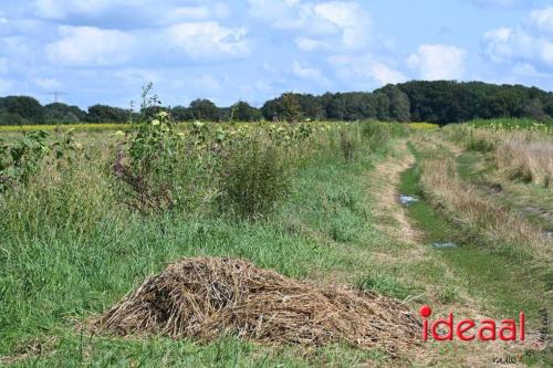 Natuur inclusief landbouw in Lochem (19-08-2024)