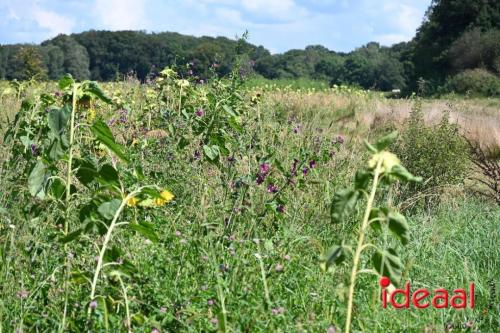 Natuur inclusief landbouw in Lochem (19-08-2024)