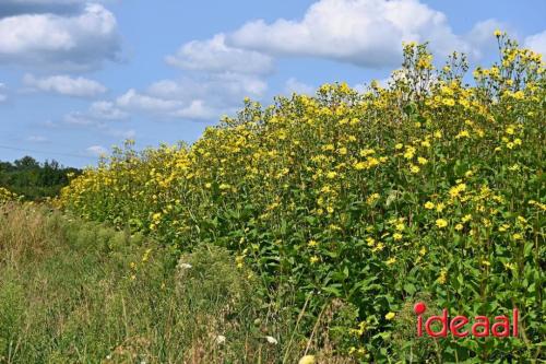 Natuur inclusief landbouw in Lochem (19-08-2024)