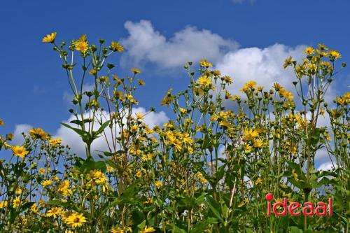 Natuur inclusief landbouw in Lochem (19-08-2024)