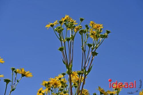 Natuur inclusief landbouw in Lochem (19-08-2024)