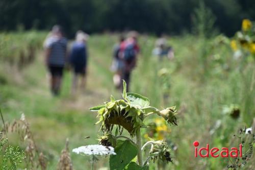 Natuur inclusief landbouw in Lochem (19-08-2024)