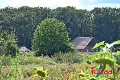 Natuur inclusief landbouw in Lochem (19-08-2024)