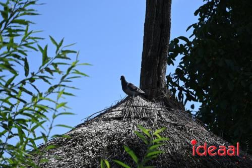 Natuur inclusief landbouw in Lochem (19-08-2024)