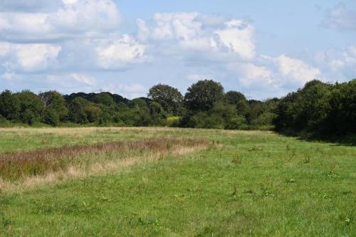 Natuur inclusief landbouw in Lochem (19-08-2024)