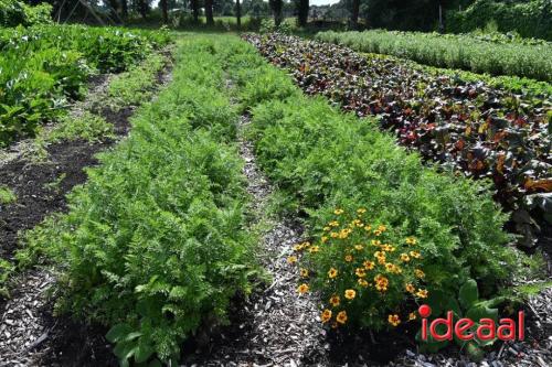 Natuur inclusief landbouw in Lochem (19-08-2024)