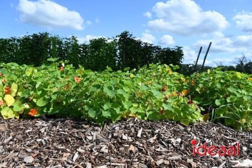 Natuur inclusief landbouw in Lochem (19-08-2024)