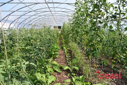 Natuur inclusief landbouw in Lochem (19-08-2024)